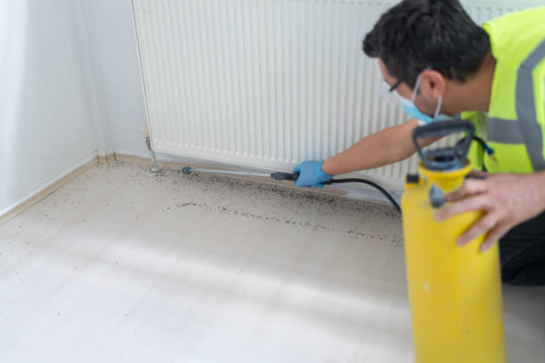 Best Ant Control Services  in Tlassee, AL